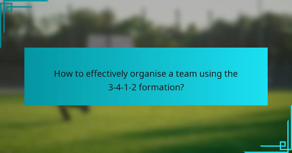 How to effectively organise a team using the 3-4-1-2 formation?