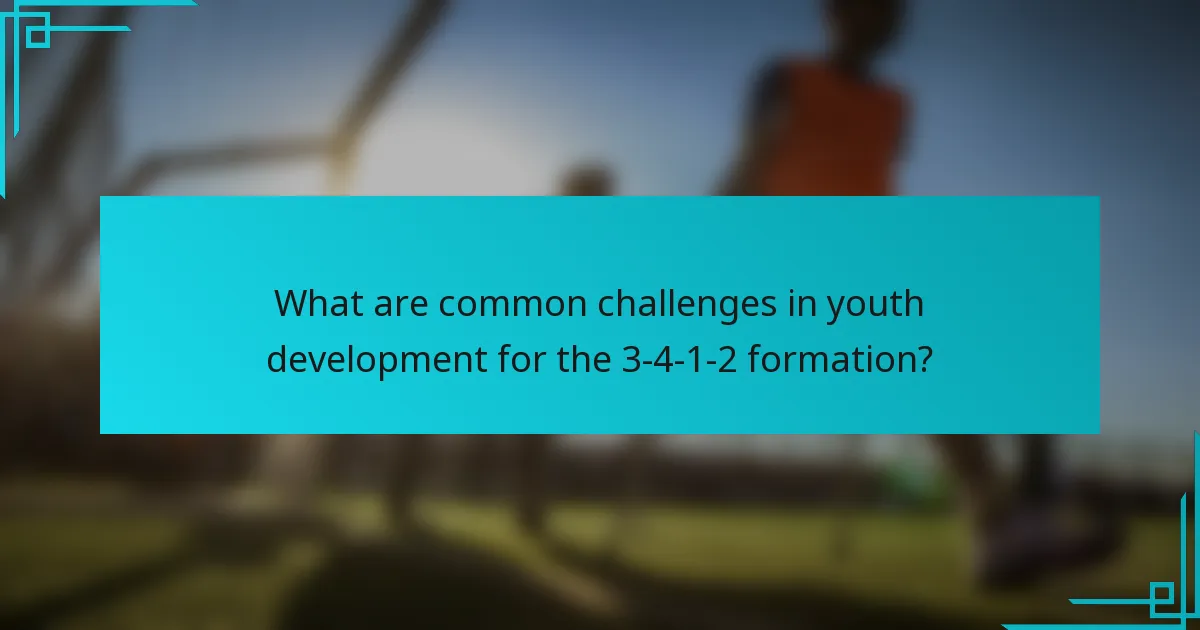 What are common challenges in youth development for the 3-4-1-2 formation?