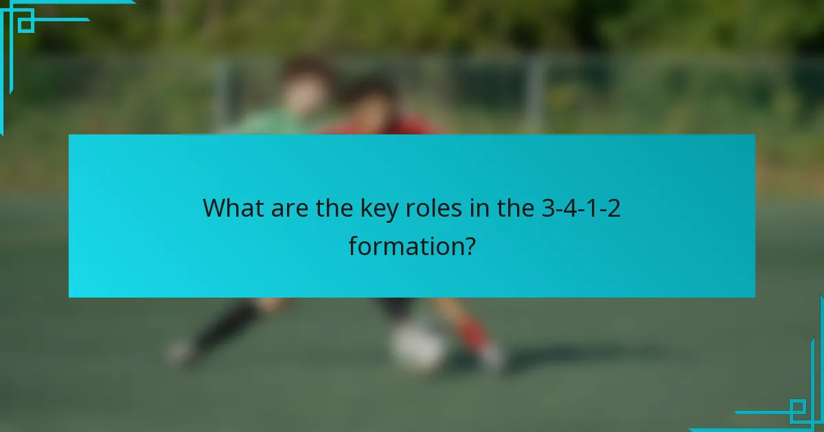 What are the key roles in the 3-4-1-2 formation?