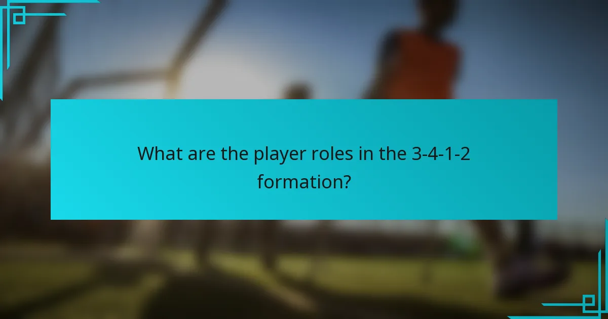 What are the player roles in the 3-4-1-2 formation?