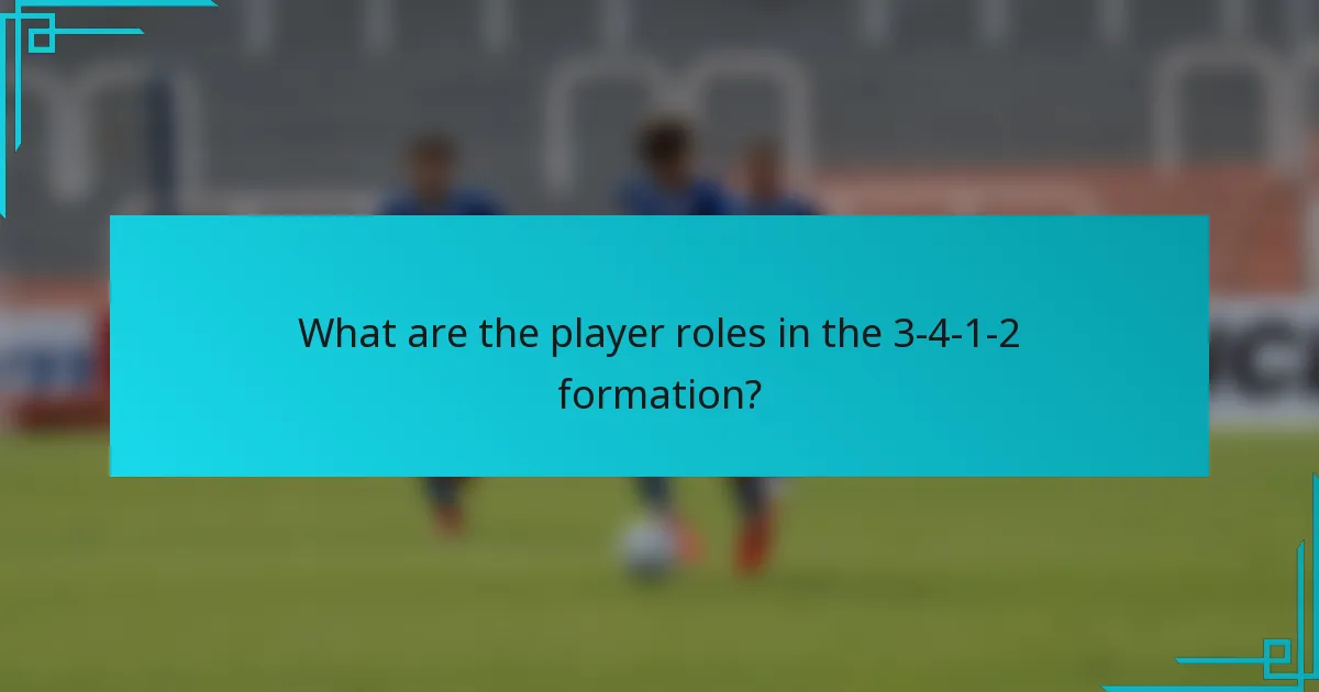 What are the player roles in the 3-4-1-2 formation?