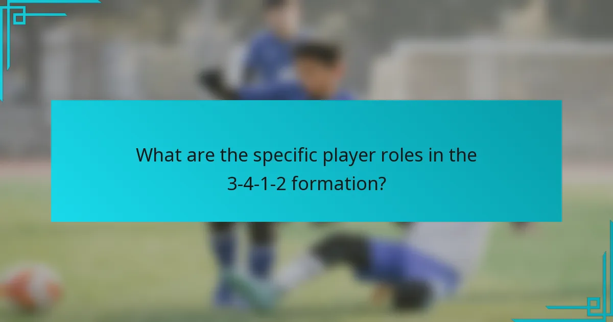What are the specific player roles in the 3-4-1-2 formation?