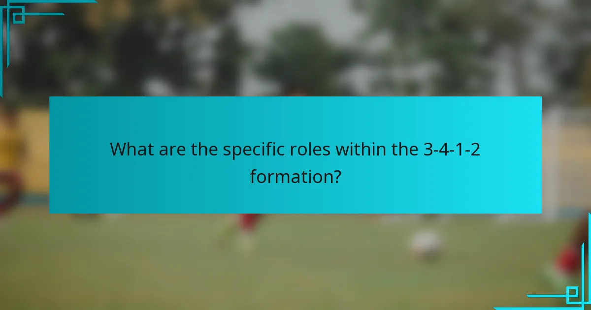 What are the specific roles within the 3-4-1-2 formation?