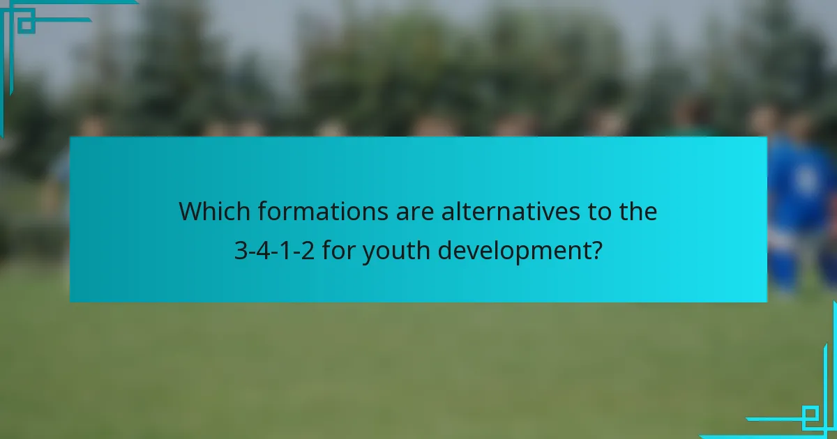 Which formations are alternatives to the 3-4-1-2 for youth development?